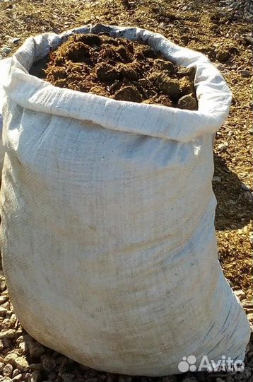 Конский навоз свежий не перепревший