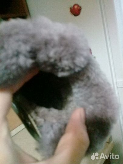 Зимние ботинки,нат.кожа, нат. мех 23р одеты 1разв