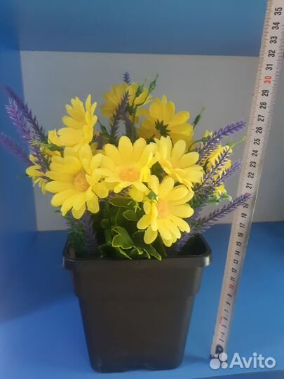 Горшок с цветами в бетоне