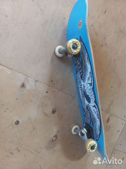 Скейтборд antihero 8.5