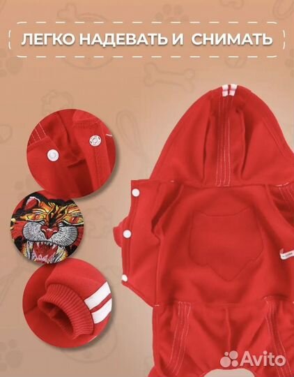 Одежда для собак