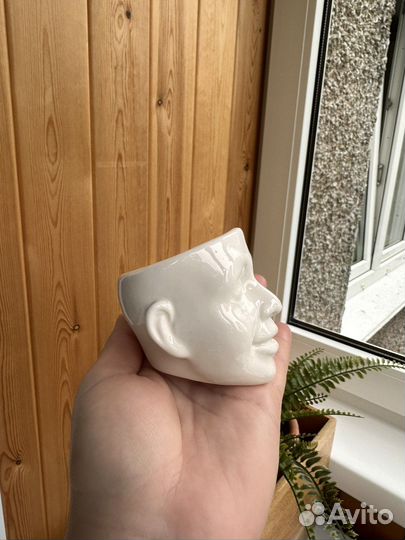 Кашпо для кактуса