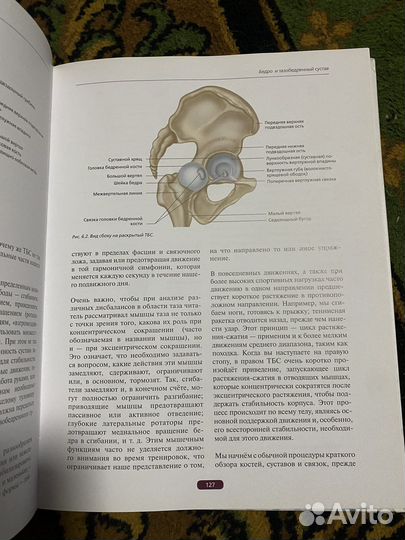 Фасциальный релиз для структурного баланса