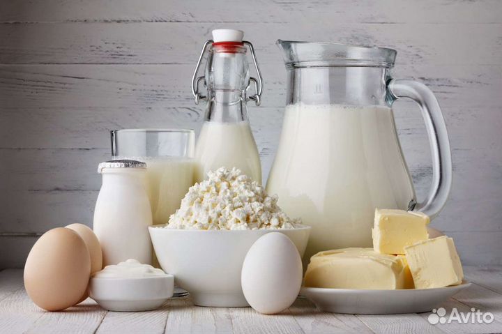 Молоко и молочные продукты