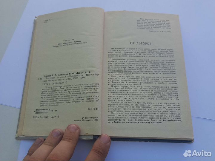 Растения здоровья, Крылов, Казакова, лагерь