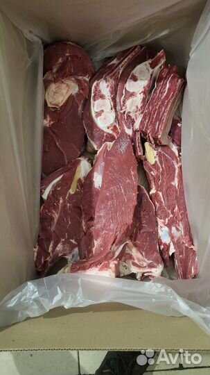 Мясо свинина телятина на кости