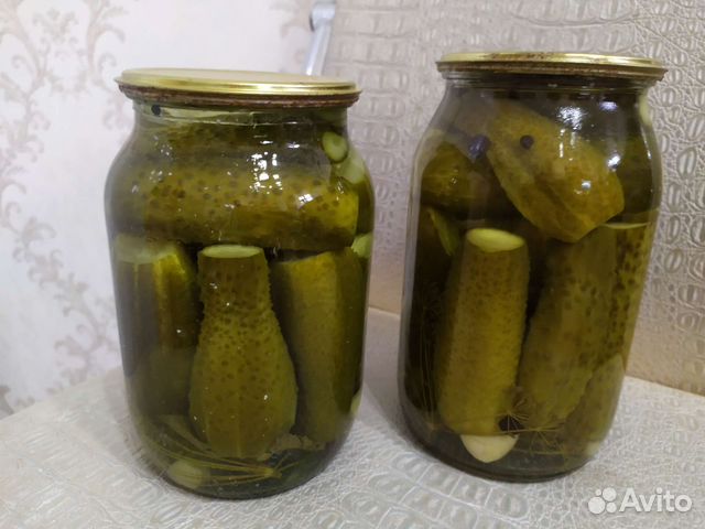 Огурцы домашние