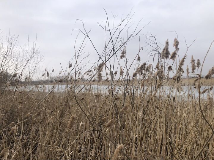 Дом 50 м² на участке 30 сот.