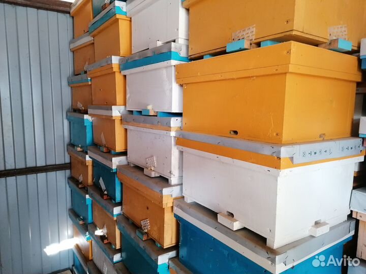 Ульи б,у Нуклеусы новые