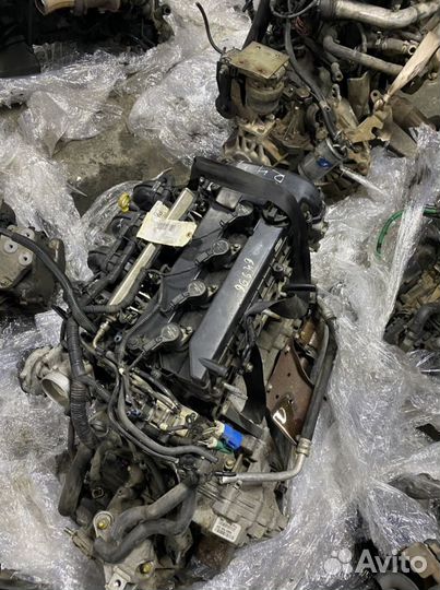 Двигатель aoda Ford Focus ll 2.0л aodb