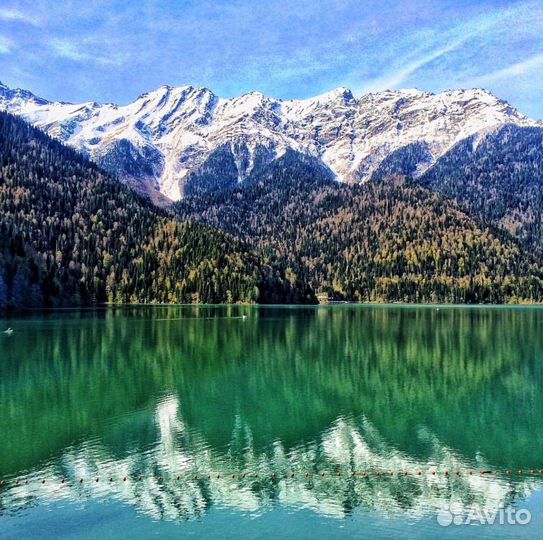 Экскурсия к озеру Рица, Абхазия