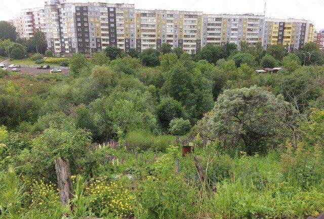 Участок 5,5 сот. (СНТ, ДНП)