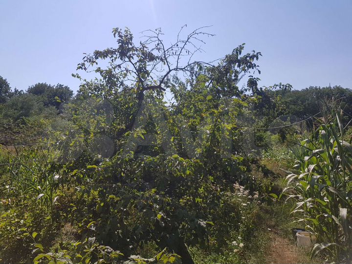 Дом 40 м² на участке 30 сот.