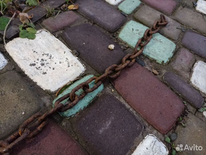 Цепь для большой собаки