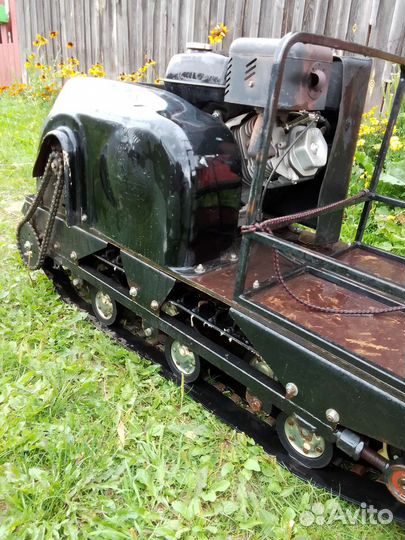 Мото собака