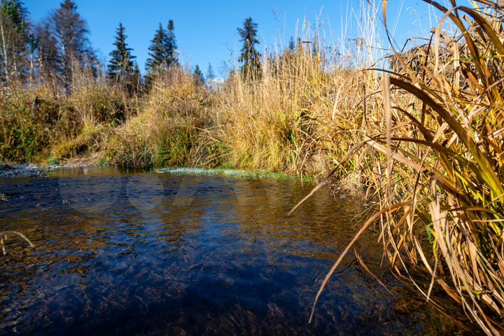 Участок 9 сот. (ИЖС)