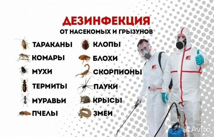 Уничтожение тараканов, клопов, блох, грызунов