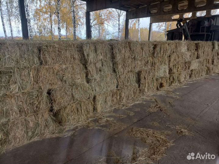 Сено луговое в тюках