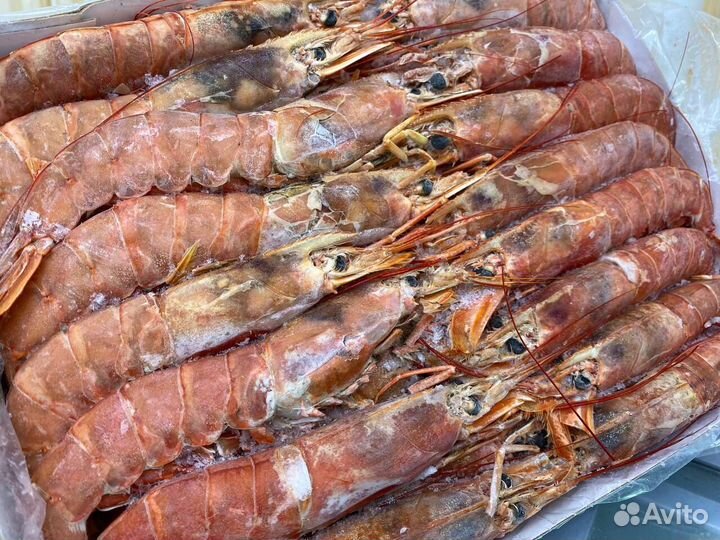 Лангустины L1 крупный. 2 кг. Опт