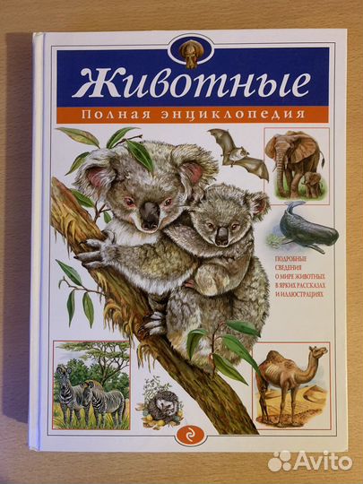 Энциклопедия