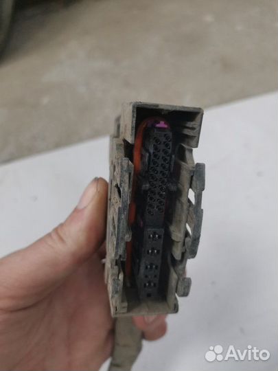 Проводка двс Kia Ceed 1 универсал G4GC 2.0 2008