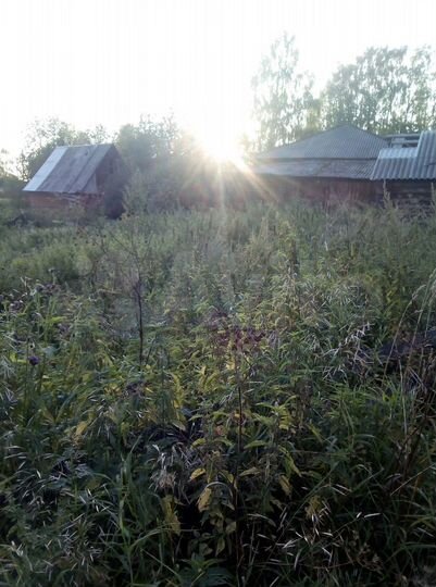 Дом 150 м² на участке 1,5 га