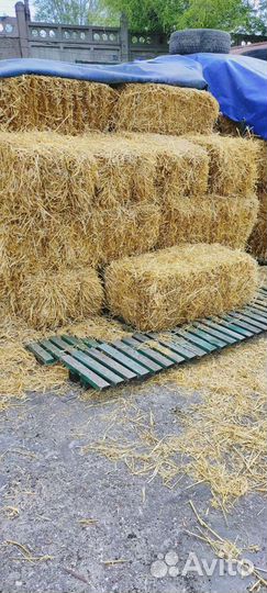 Тюки соломы, сено