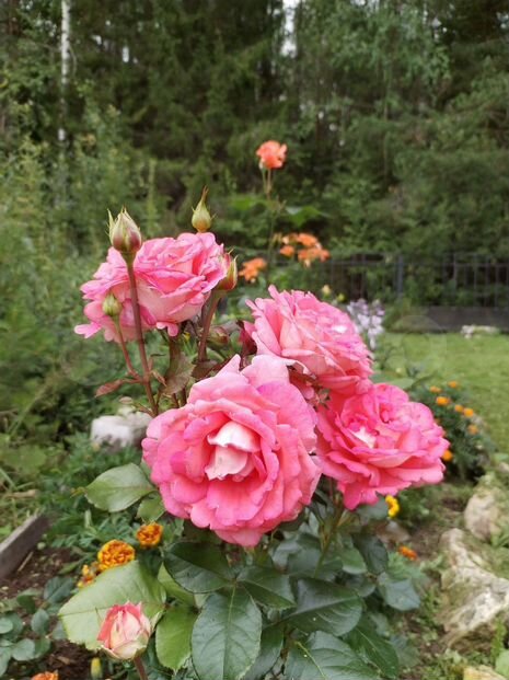 Дом 155 м² на участке 6 сот.