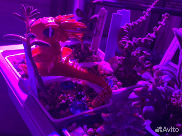 Фигурки животных, оак, головные уборы на lps