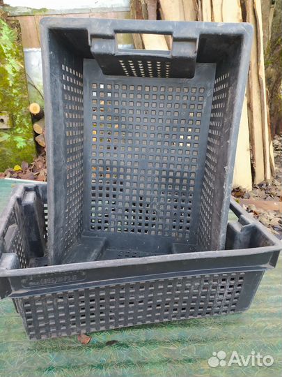 Пластиковые ящики для хранения овощей