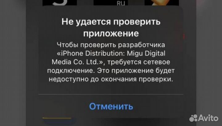 Сертификат на scarlett