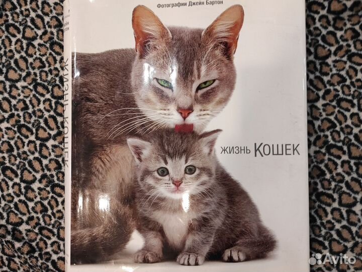 Книга о кошках