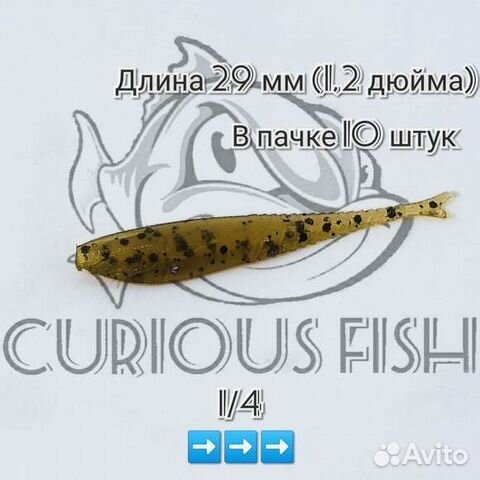 Curious Fish Flat Slyg 1,2 дюйма (29мм)