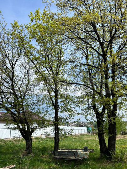 Дом 70 м² на участке 15 сот.