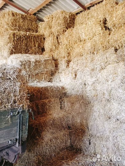 Солома пшеничная в тюках