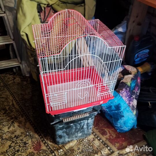 Клетка для птички