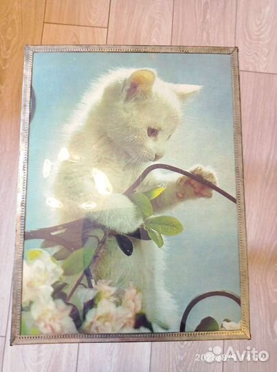 Картина котики