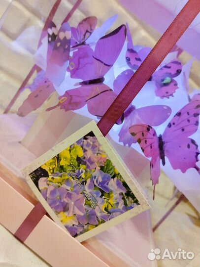 Хитовые аквариумные букеты из бабочек в наличии