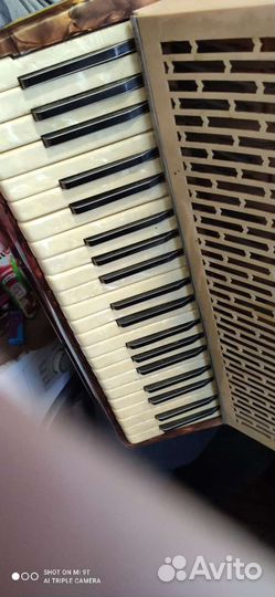 Аккардеон Capriole