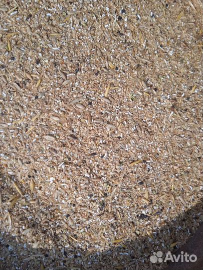 Зерно смесь