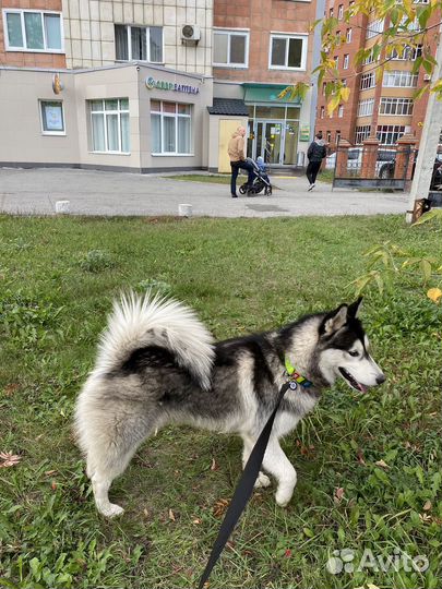 Ищем подругу для здоровья