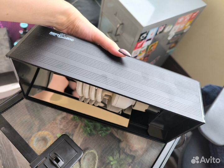 Террариум для эублефара