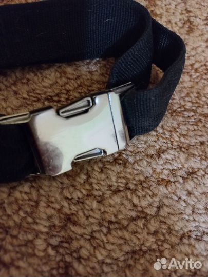 Недоуздок для собак