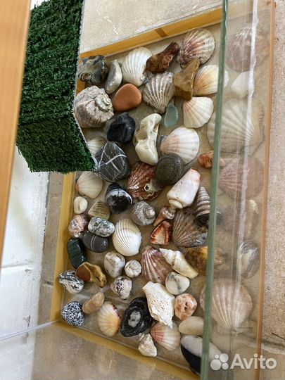 Аквариум для черепах