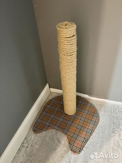 Когтеточка