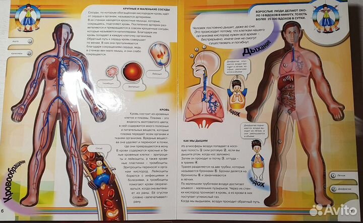 Книги детские