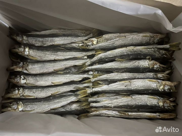 Корюшка вяленая крупная (Сахалин)