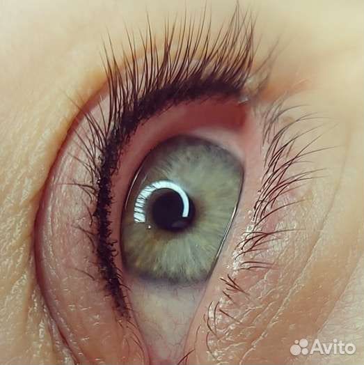 Перманент/брови/ресницы