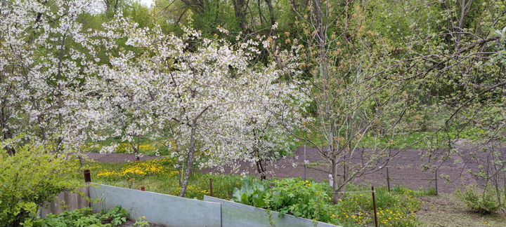 Дача 41 м² на участке 7 сот.