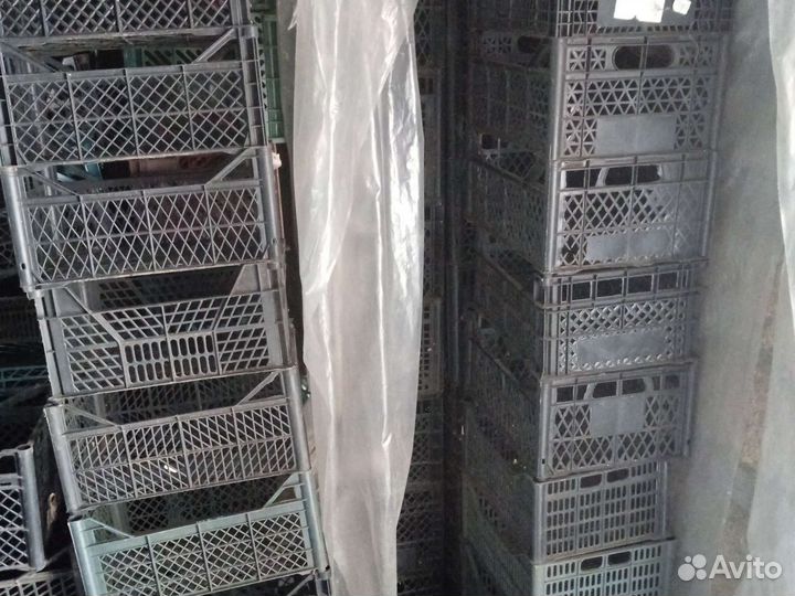 Пластиковые ящики бу